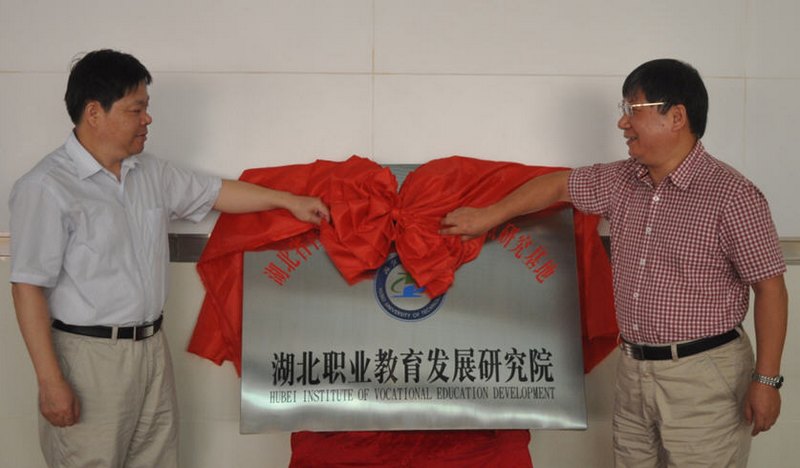 湖北职业教育发展研究院召开第一届学术委员会第一次会议