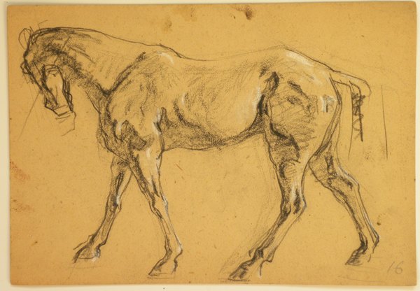 “韦启美的素描课”开幕 为迄今最大规模素描作品个展