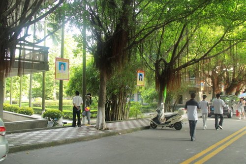 学校设立国家奖学金获奖学生风采长廊