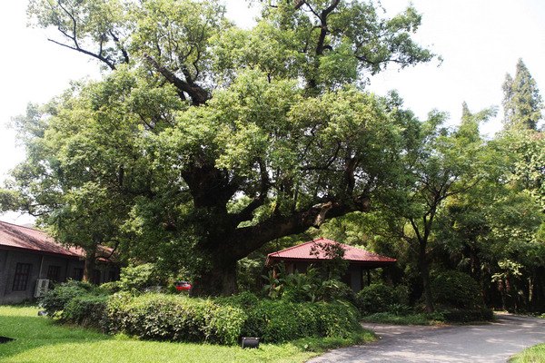 中国轻工业陶研所:做特色名校的特色窗口