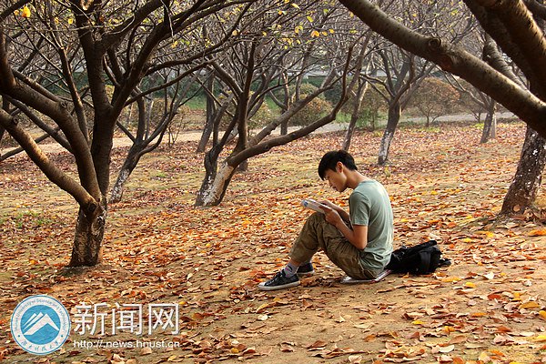 【图说科大】樱园之秋