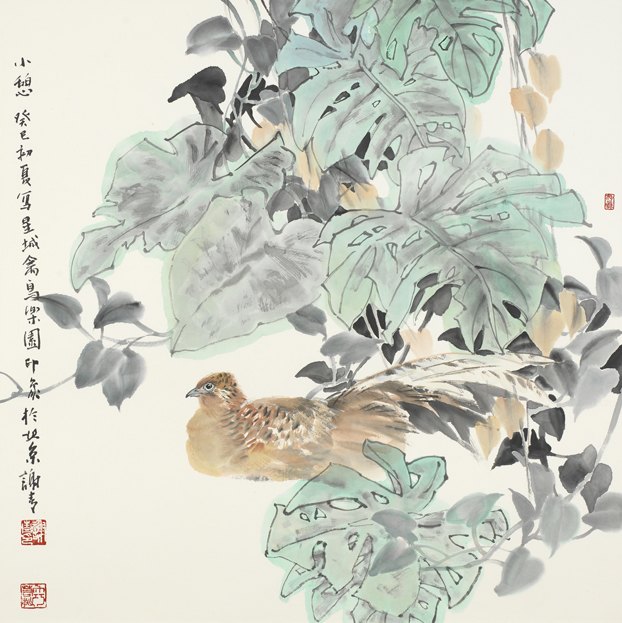 ����֮Ե������ѩӢ������¡�л�໨��չ���ٰ�