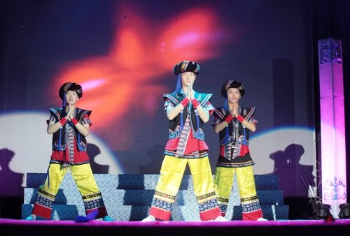 2013大学生艺术教育汇报演出暨迎新晚会圆满落幕