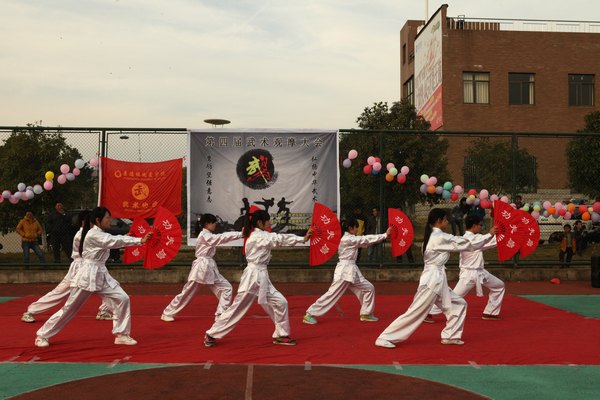 武术协会举办第四届武术观摩大会