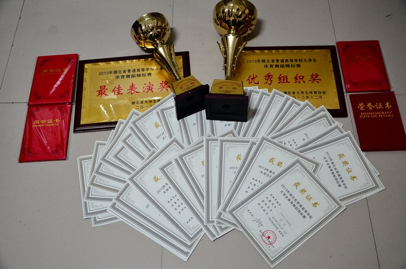 ��Ͽ��ѧ�Ƽ�ѧԺѧ����2013�����ʡ��ͨ�ߵ�ѧУ��ѧ�������赸��������ϲ��Ѽ�