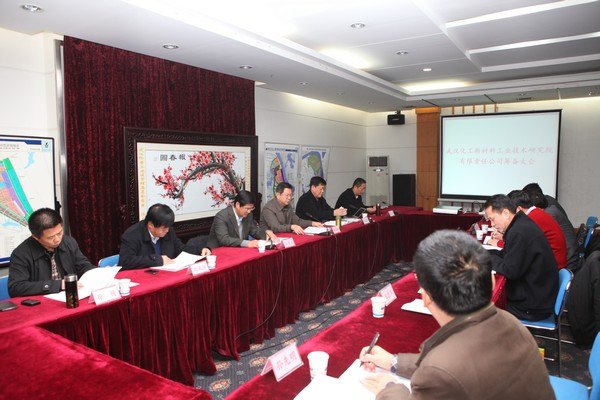 武汉化工新材料工业技术研究院有限责任公司成立大会召开