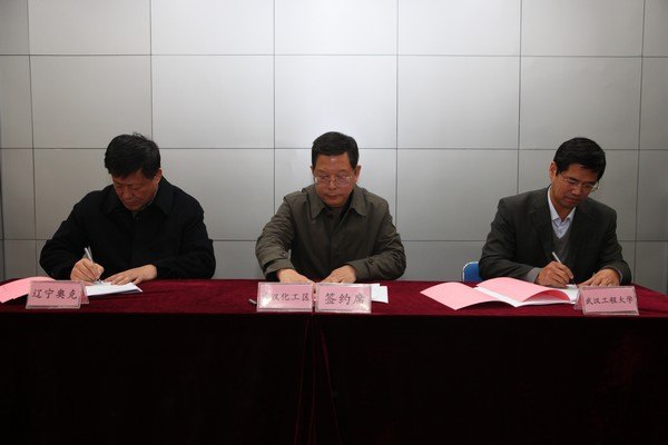 武汉化工新材料工业技术研究院有限责任公司成立大会召开