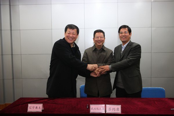 武汉化工新材料工业技术研究院有限责任公司成立大会召开