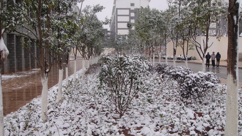 梦幻雪景 好梦商院