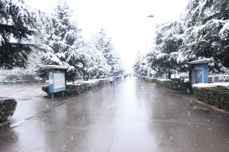 梦幻雪景 好梦商院