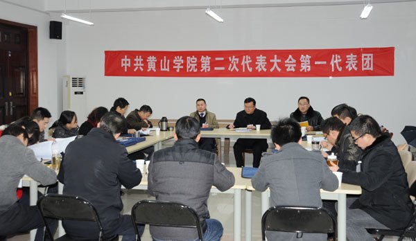 各代表团讨论审议“两委”工作报告