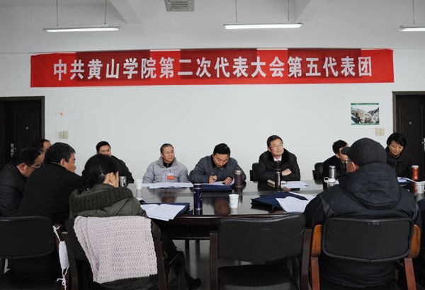 各代表团讨论审议“两委”工作报告