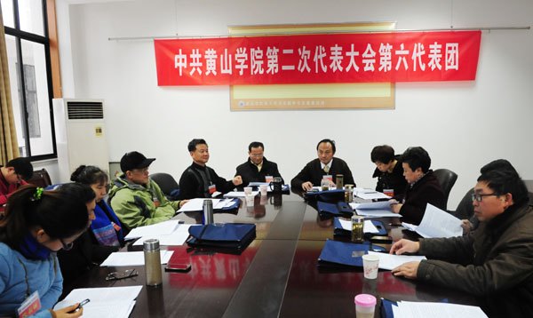 各代表团讨论审议“两委”工作报告