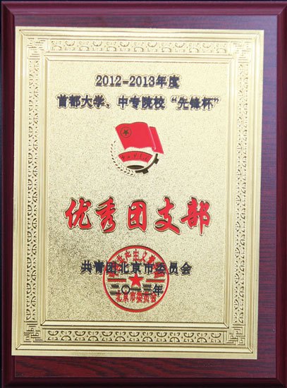 首都大学、中专院校“先锋杯”竞赛评选结果