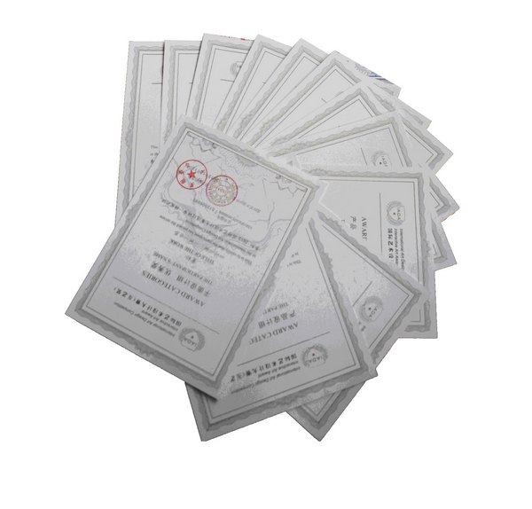 三明学院师生摘取IADA国际艺术设计大赛多个奖项