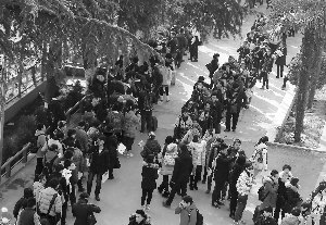 多家媒体高度关注南京艺术学院本科招生报名