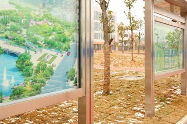 ����У����2014��ĵ�һ��ѩ