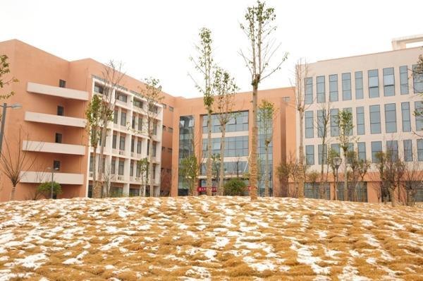 ����У����2014��ĵ�һ��ѩ