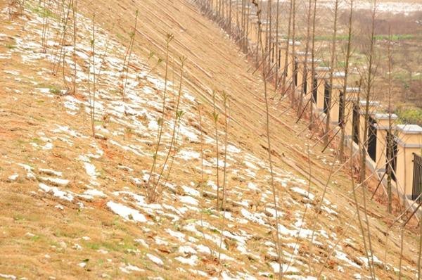 ����У����2014��ĵ�һ��ѩ