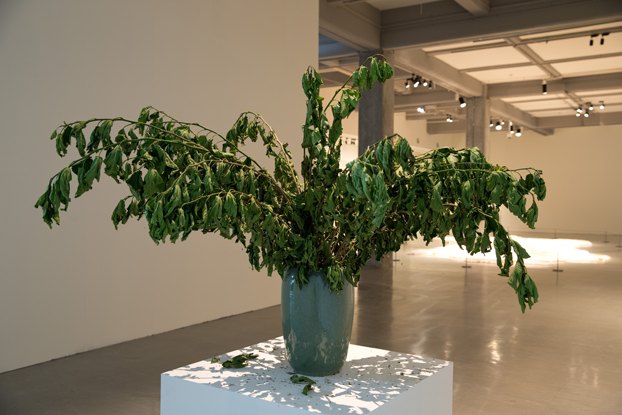 用当代艺术激活传统:徐冰首度大型回顾展登陆台北