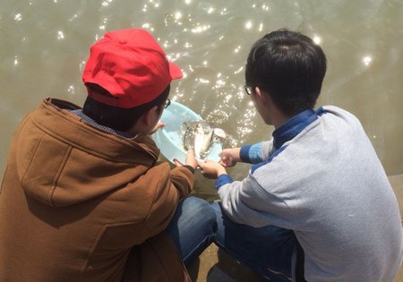 小鱼治水——志愿者在行动