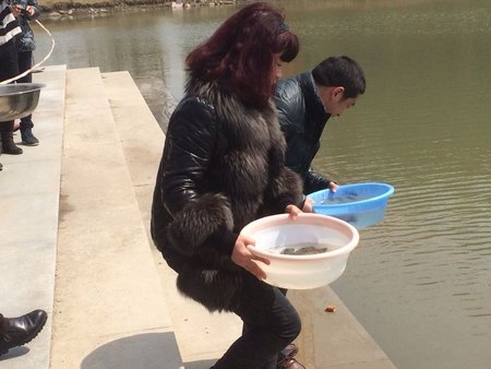 小鱼治水——志愿者在行动