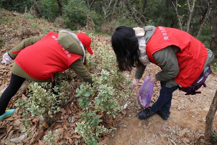 ѧ�׷�ϵ�б���