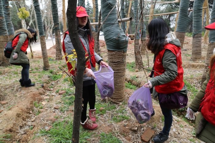 ѧ�׷�ϵ�б���