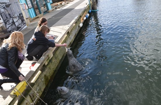 【加拿大中国青年领袖训练营报道三十五】镌刻维多利亚花园之美