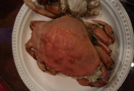 【加拿大中国青年领袖训练营报道十六】我们蜕变,我们成长,“枫叶之国”铭刻于心