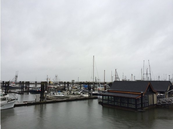 【加拿大中国青年领袖训练营报道二十七】当商学院“遇上”西雅图