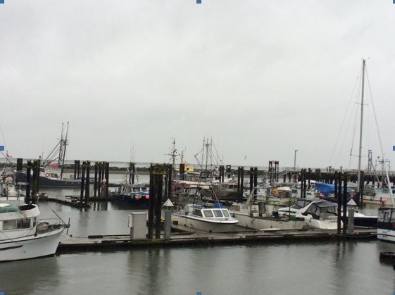 【加拿大中国青年领袖训练营报道二十七】当商学院“遇上”西雅图