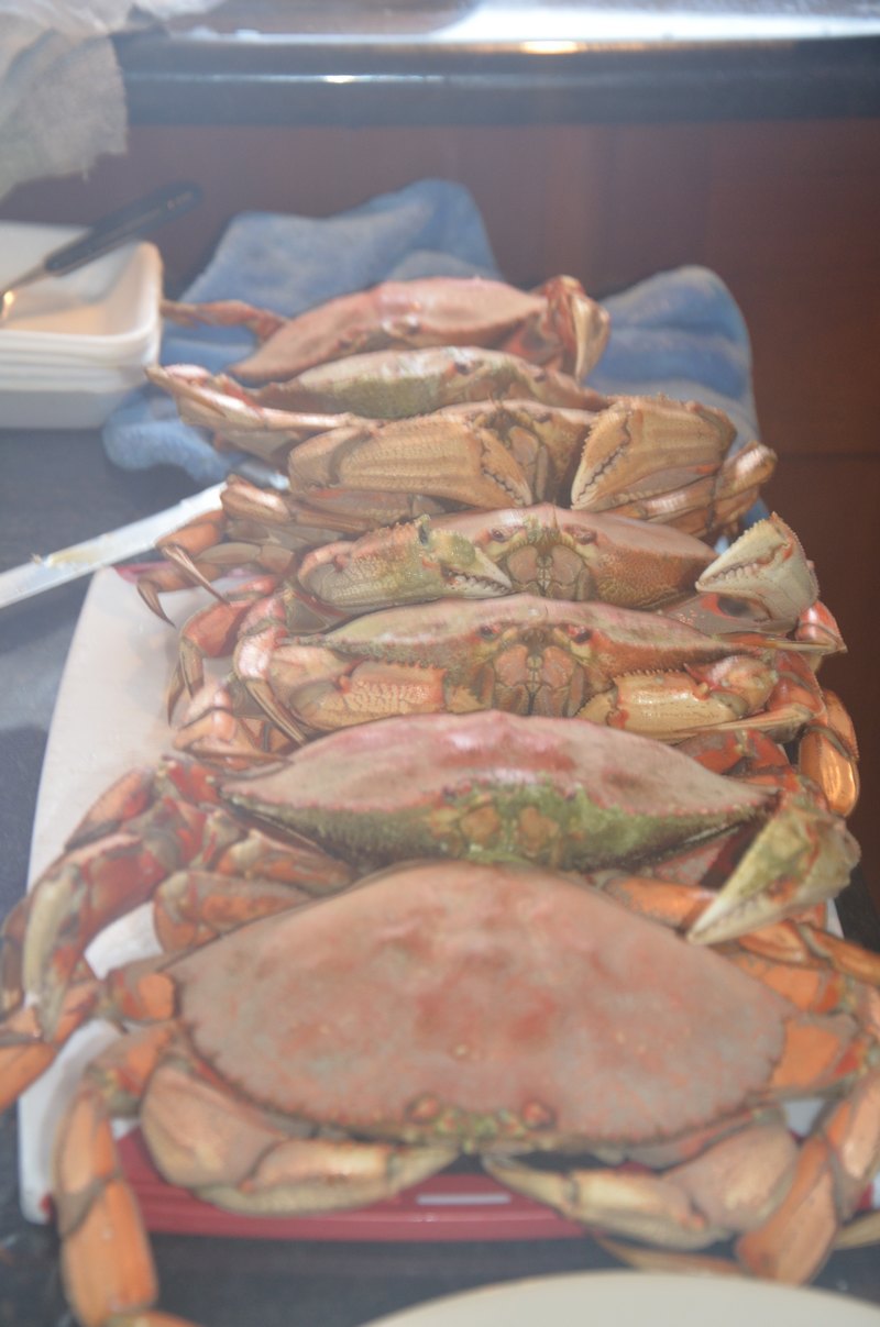 【加拿大中国青年领袖训练营报道十四】海外课堂第三天—浩瀚博大的西方海洋文化