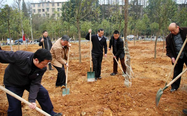 黄山学院教职工参加植树劳动