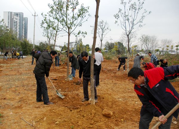 黄山学院教职工参加植树劳动