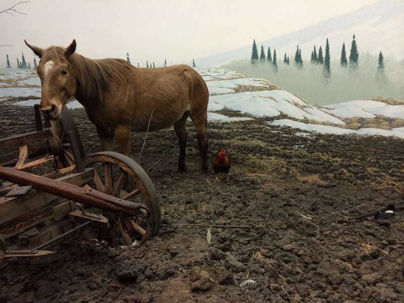【加拿大中国青年领袖训练营报道三十七】BC皇家博物馆,在历史中体验文明