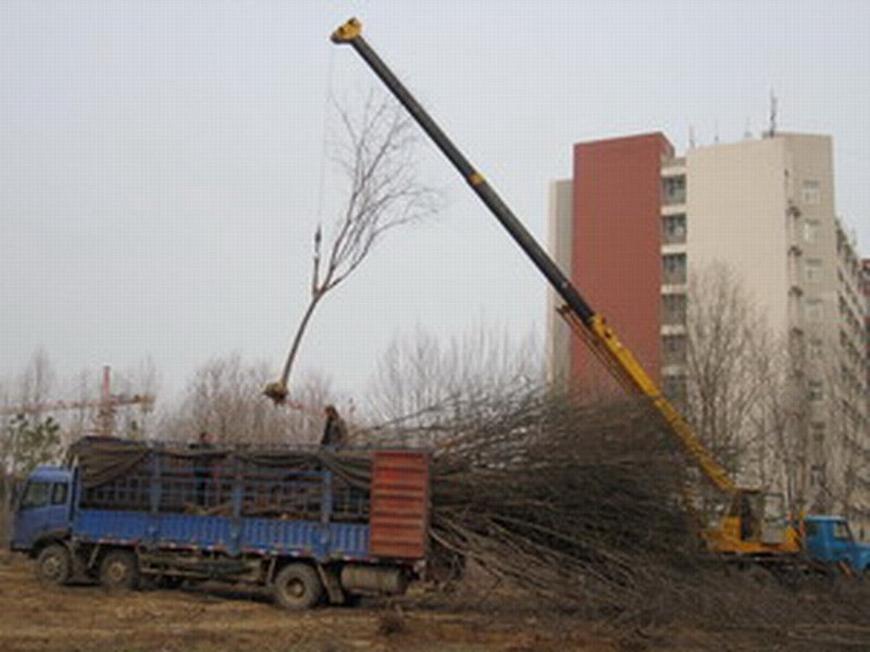 许昌学院继续开展结对帮扶工作