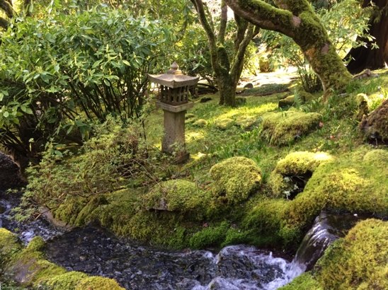【加拿大中国青年领袖训练营报道四十】世纪花园BUTCHART GARDENS