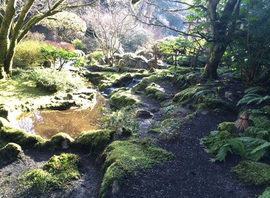 【加拿大中国青年领袖训练营报道四十】世纪花园BUTCHART GARDENS