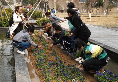 爱绿护绿创造美丽校园