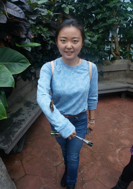 【加拿大中国青年领袖训练营报道五十二】七彩蝴蝶,维多利亚的精灵