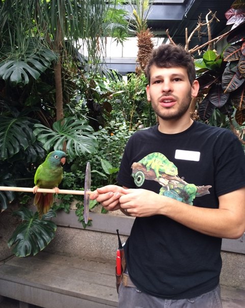 【加拿大中国青年领袖训练营报道五十二】七彩蝴蝶,维多利亚的精灵