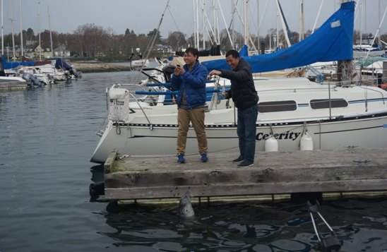 ôйѵӪʮһάMarina Beachļ