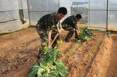 10级国防生当兵实习日记(一)