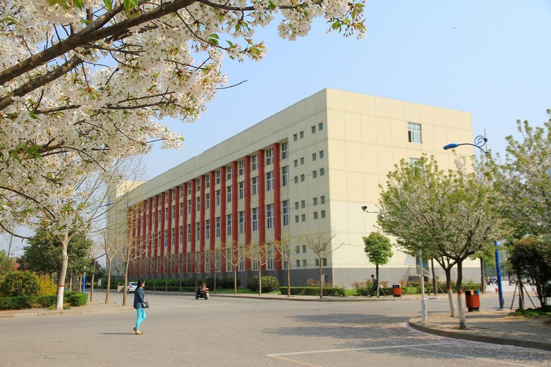 春涌许院(一):最是樱花烂漫