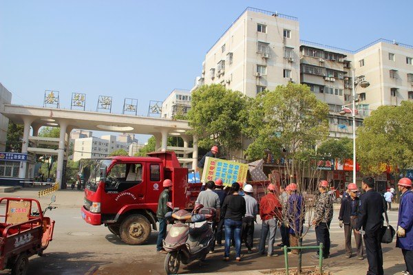 东湖高新区对学校流芳校区周边环境开展综合整治工作