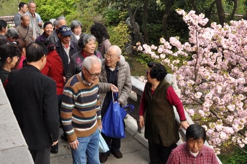 学校900名老同志春游踏青晴川阁