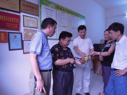 广东石油化工学院赴信宜市调研果蔬加工与贮藏产业情况