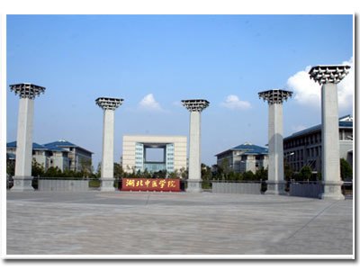 湖北中医学院图片