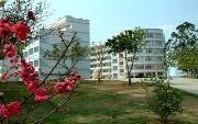 邕江大学图片